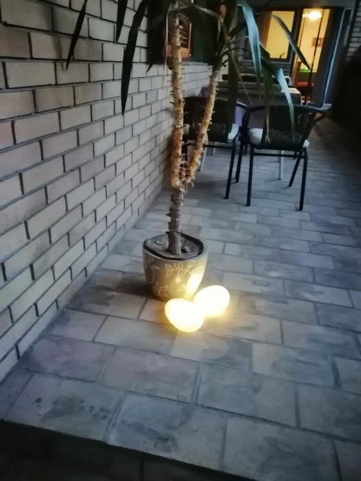 Citadela Ξενοδοχείο Σόμπορ Εξωτερικό φωτογραφία